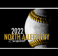 North Allegheny Baseball